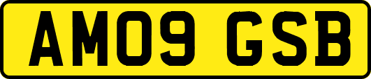 AM09GSB