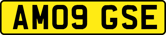 AM09GSE