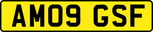AM09GSF