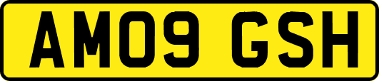 AM09GSH
