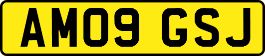 AM09GSJ