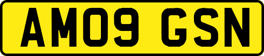 AM09GSN