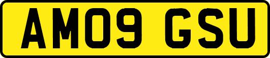 AM09GSU