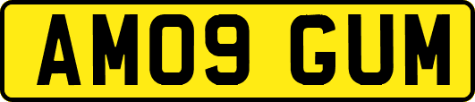 AM09GUM