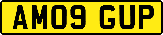 AM09GUP