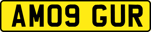 AM09GUR