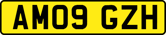 AM09GZH