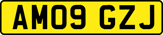 AM09GZJ
