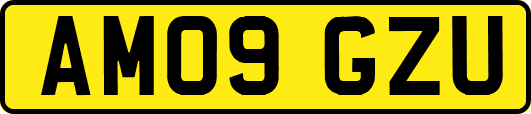 AM09GZU