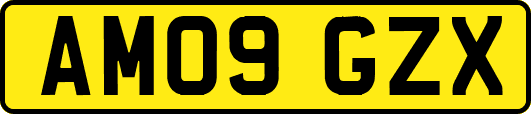 AM09GZX