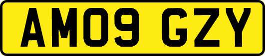 AM09GZY