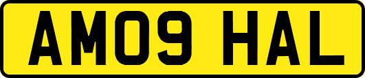 AM09HAL