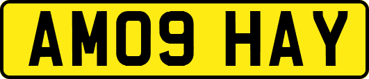 AM09HAY