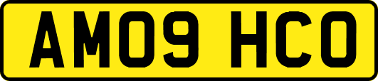 AM09HCO