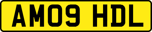AM09HDL