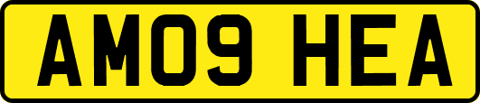 AM09HEA