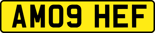 AM09HEF
