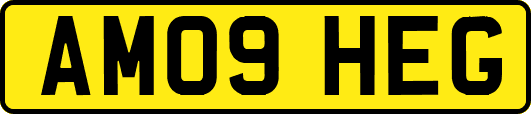 AM09HEG