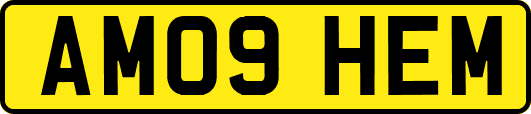 AM09HEM