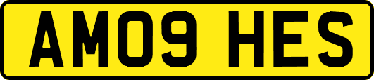 AM09HES