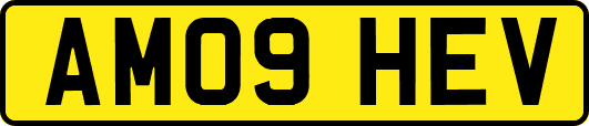 AM09HEV