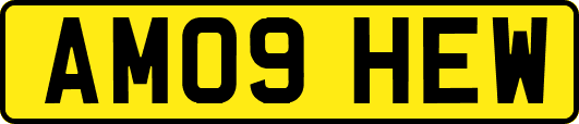 AM09HEW