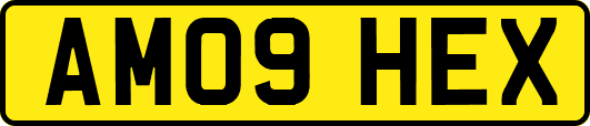 AM09HEX