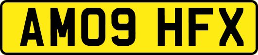 AM09HFX
