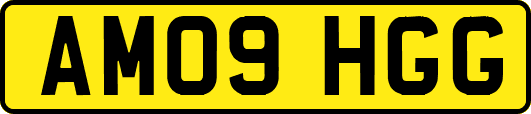 AM09HGG