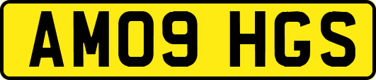 AM09HGS