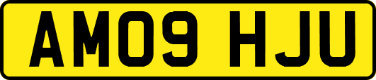 AM09HJU
