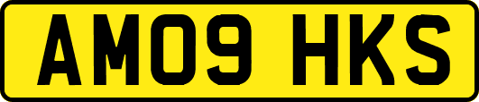 AM09HKS