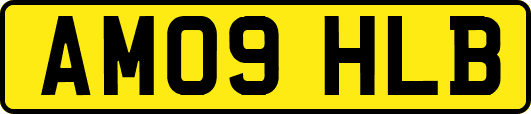 AM09HLB