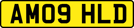 AM09HLD