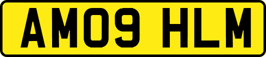 AM09HLM