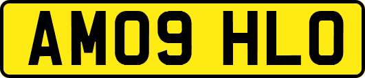 AM09HLO