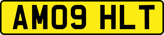AM09HLT