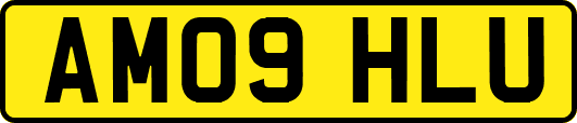 AM09HLU