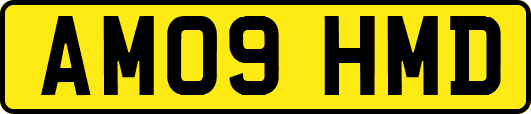 AM09HMD