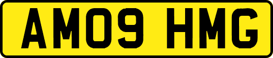 AM09HMG