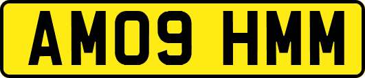 AM09HMM