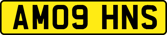 AM09HNS