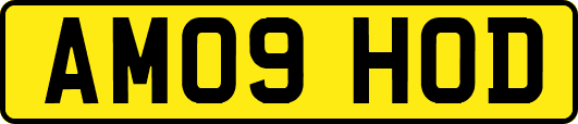 AM09HOD