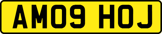 AM09HOJ