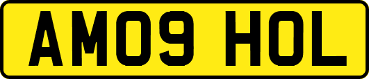 AM09HOL