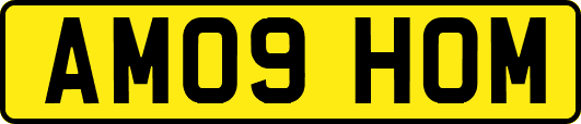 AM09HOM