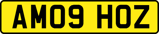 AM09HOZ