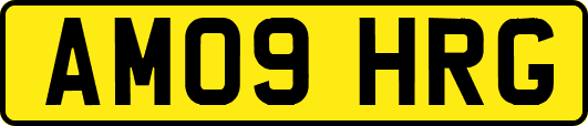 AM09HRG