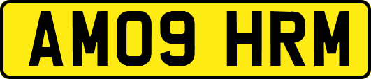 AM09HRM