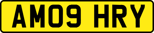 AM09HRY